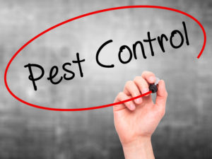 Hand writing "Pest Control" with a black marker, circled in red, on a gray background.